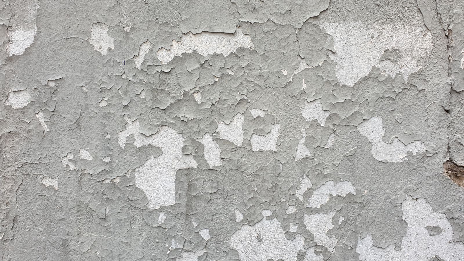 Détail d'une paroi claire dont l'enduit se détache en larges plaques, laissant apparaître un support poudreux gris pâle.