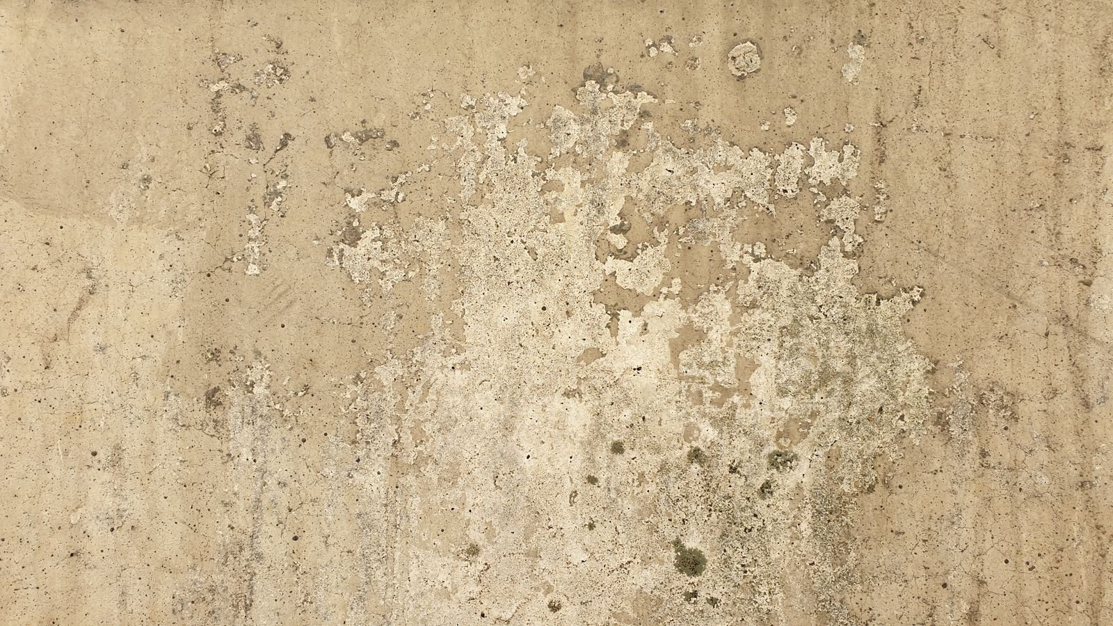 Détail d'une paroi de béton beige dont la peinture a disparu par plaques, surface piquée et irrégulière.