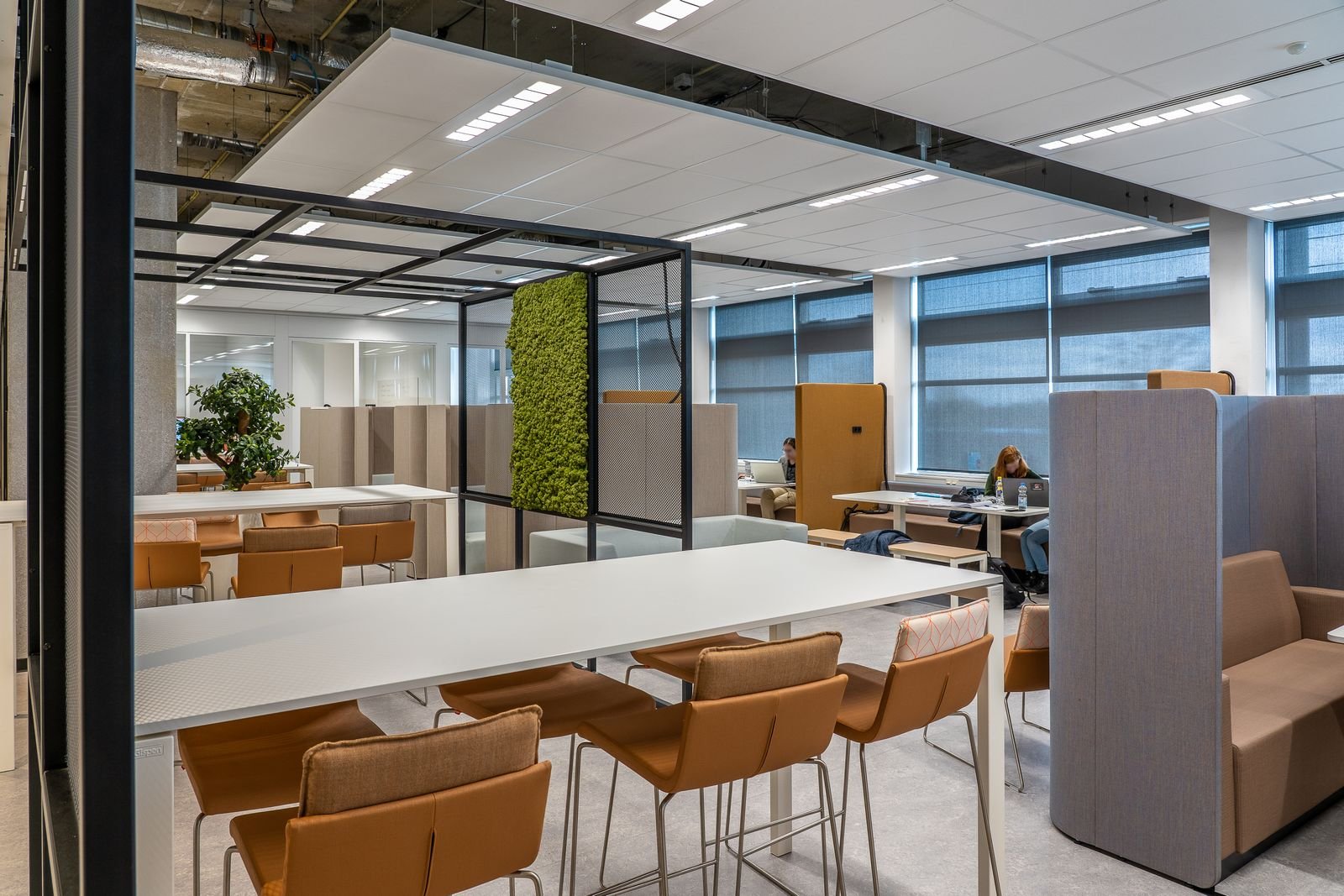 Espace de travail partagé vide et éclairé, grande table centrale, sièges alignés, cloisons vitrées et plantes en bac.